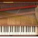 6 Zumpe piano, strings