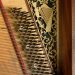 17 Square piano by William Southwell, detail of soundboard